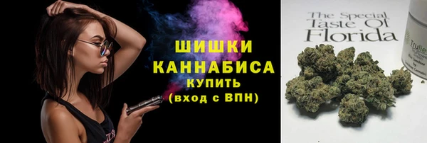 молекула духа Богородицк