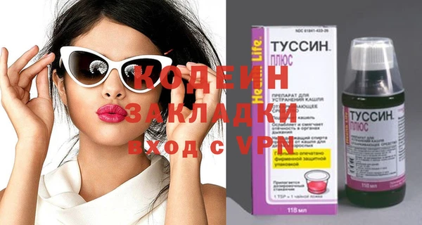 молекула духа Богородицк