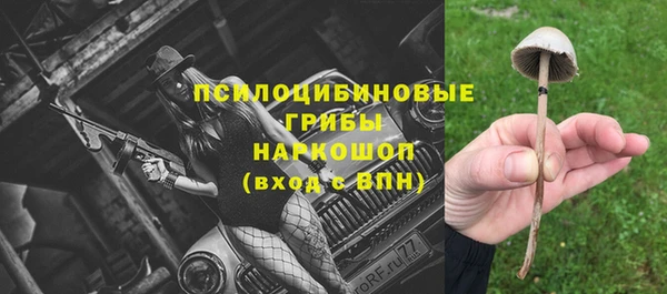 молекула духа Богородицк