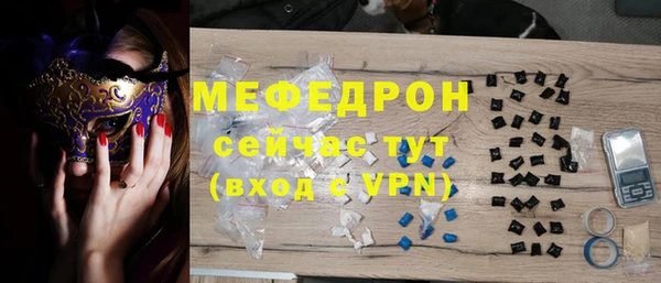 молекула духа Богородицк