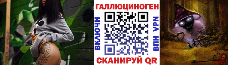 Галлюциногенные грибы Psilocybine cubensis  Новороссийск 